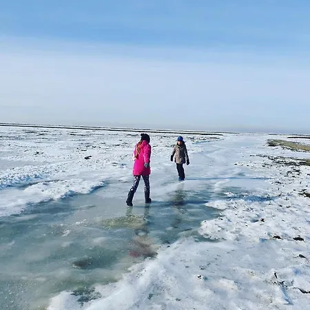 Hedwig Meine Perle * Hedwigenkoog