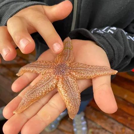 Appartement Hedwig Meine Perle *